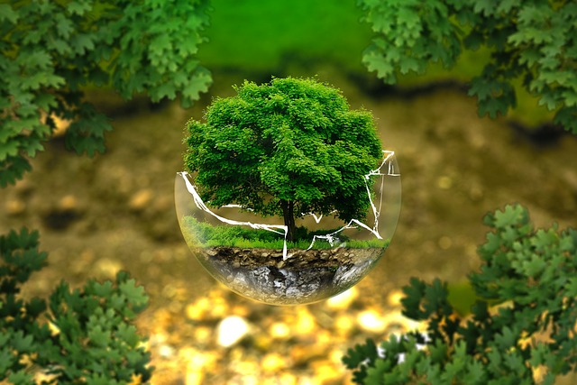 galerie photo